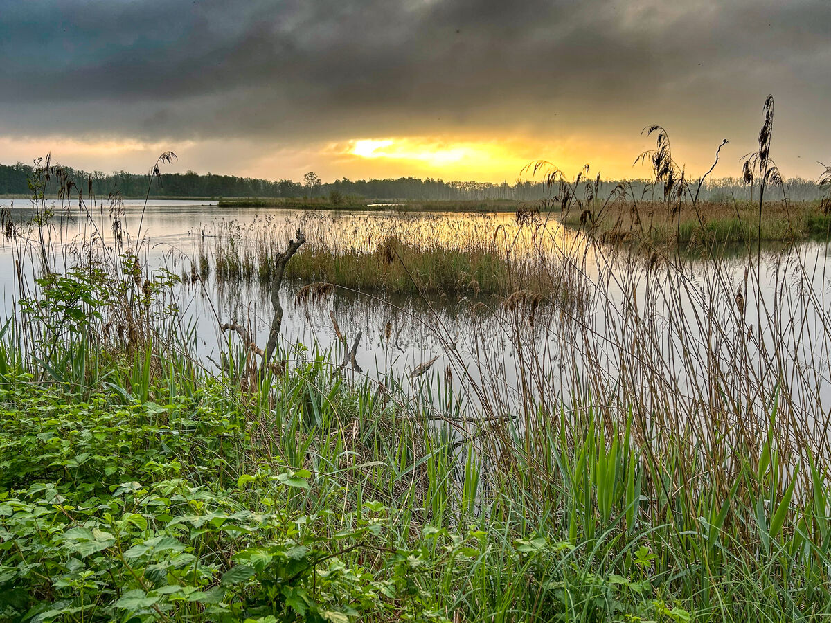 Cursus klimaatverkenner