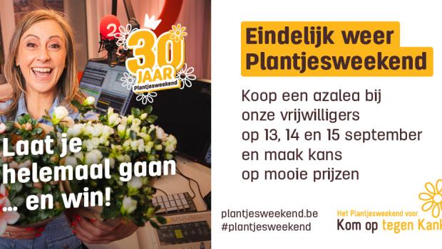 plantjes 