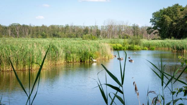 cursus klimaatverkenner